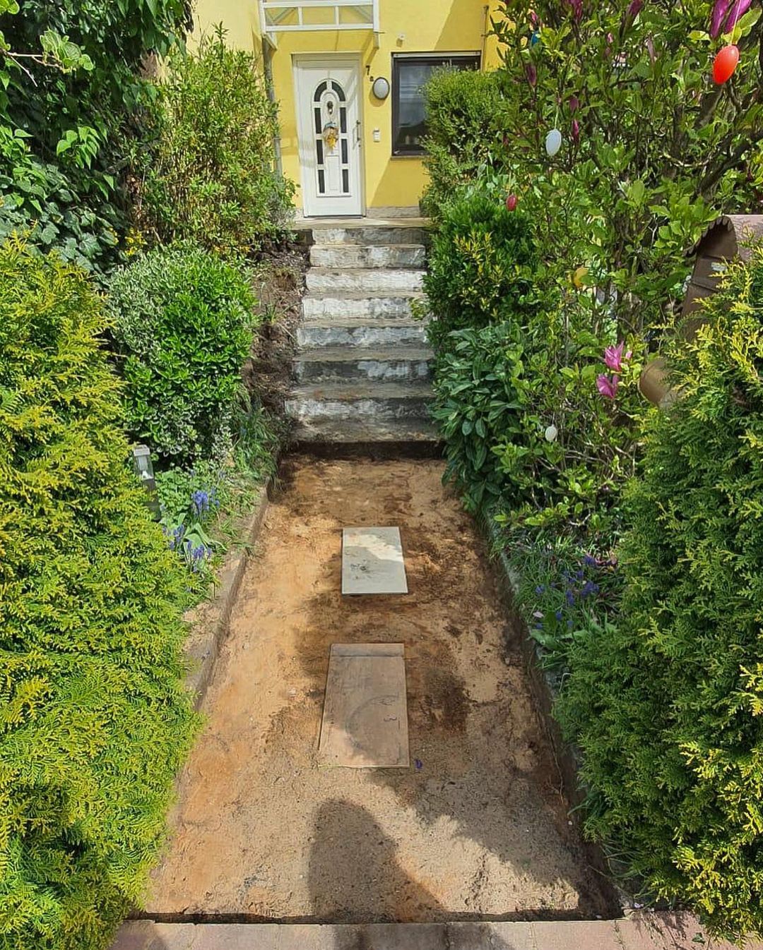 Before image